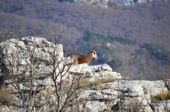 POZIVAMO VAS NA RADIONICU RAZVOJA TURISTIČKIH PROIZVODA: PRIRODNI TURIZAM (NATURE TOURISM)