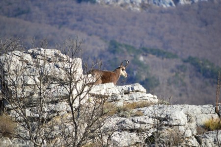 POZIVAMO VAS NA RADIONICU RAZVOJA TURISTIČKIH PROIZVODA: PRIRODNI TURIZAM (NATURE TOURISM)