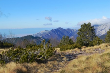 POZIVAMO VAS NA RADIONICU RAZVOJA TURISTIČKIH PROIZVODA: TURISTIČKE AKTIVNOSTI PLANINARENJA